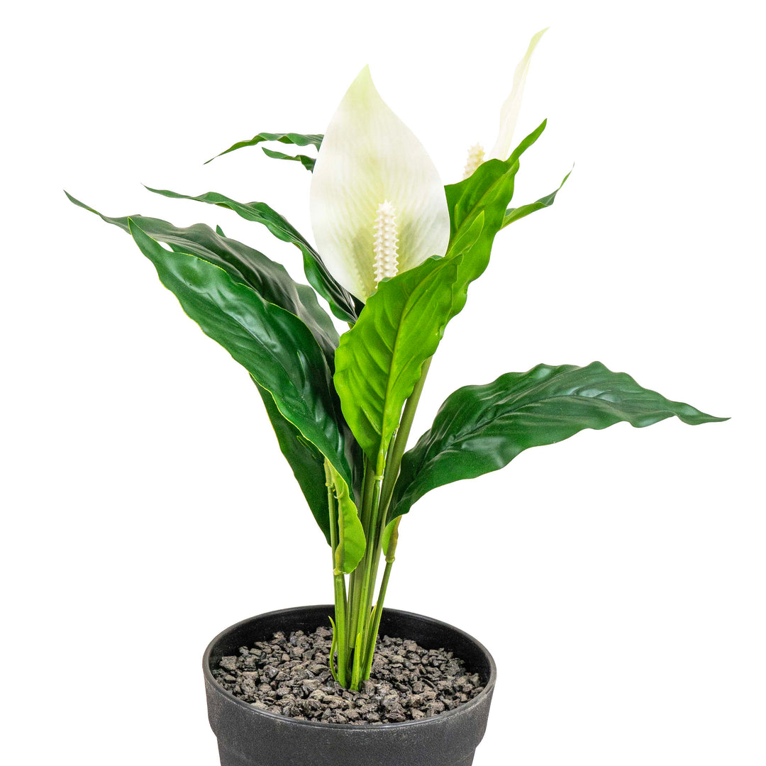 PEACE LILY FAUX PLANT