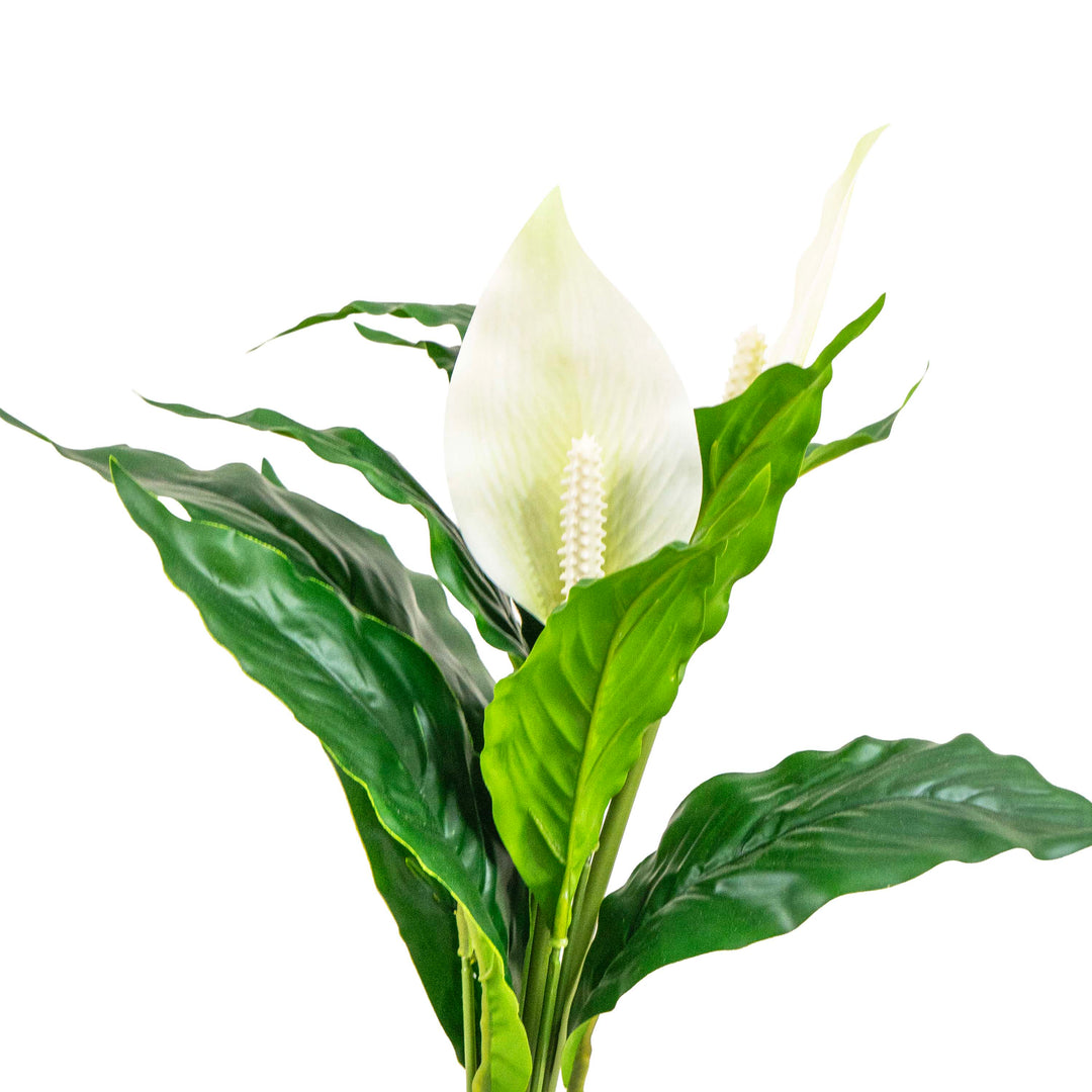 PEACE LILY FAUX PLANT