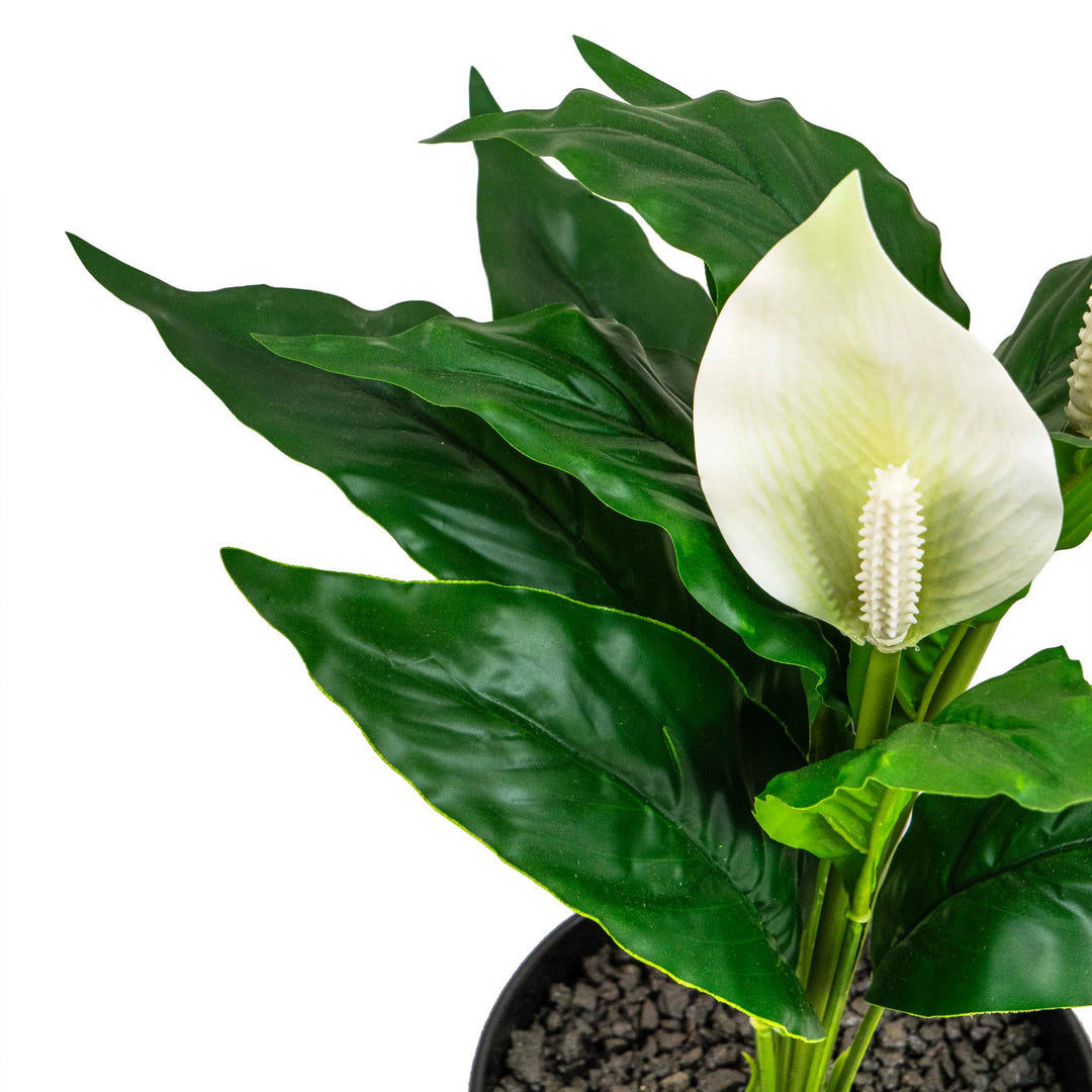 PEACE LILY FAUX PLANT