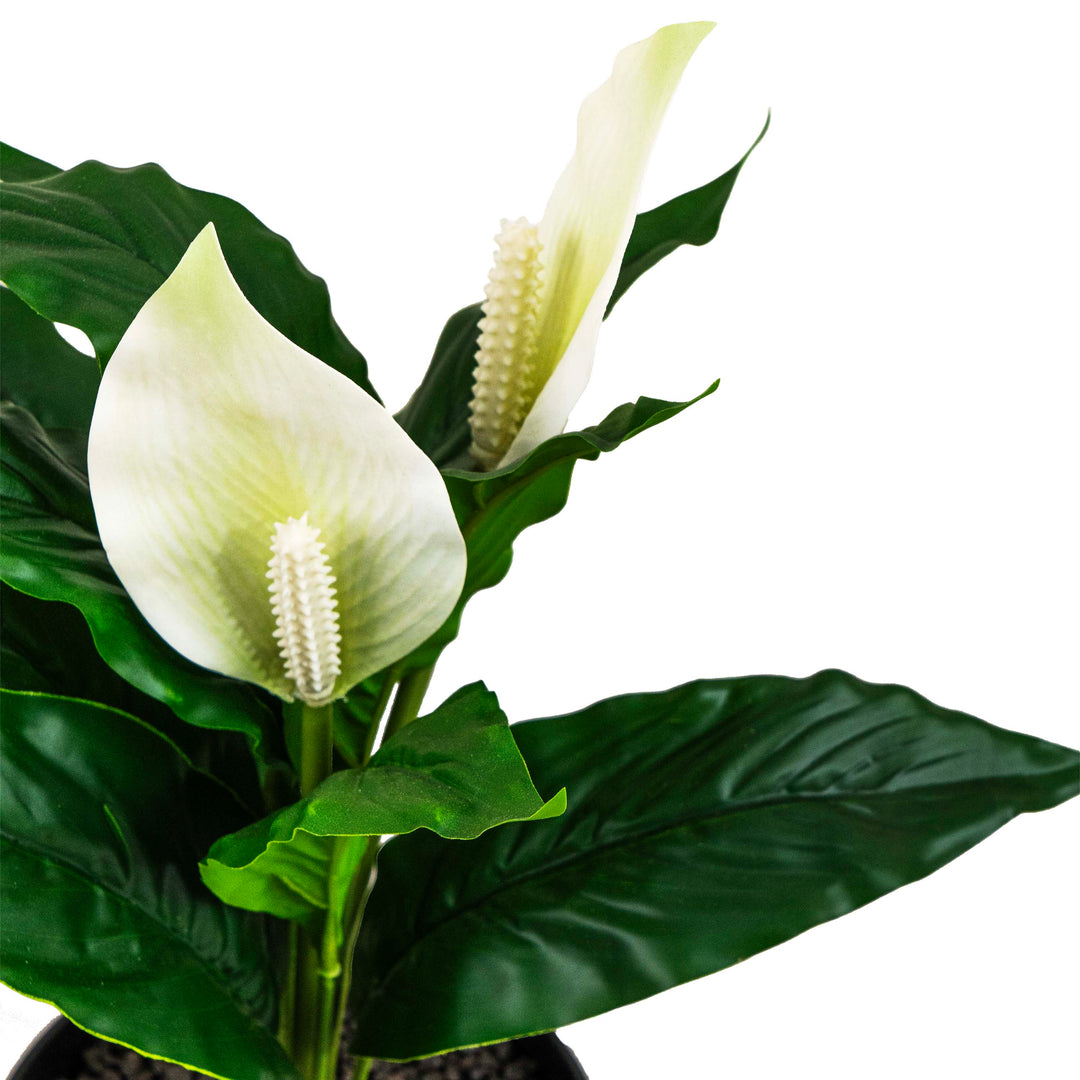 PEACE LILY FAUX PLANT