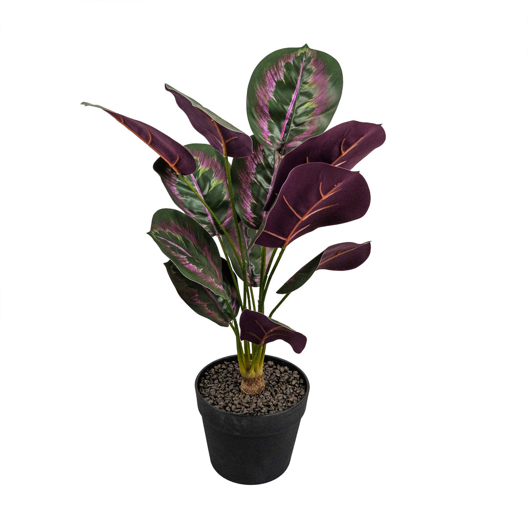 PINSTRIPE CALANTHEA FAUX PLANT