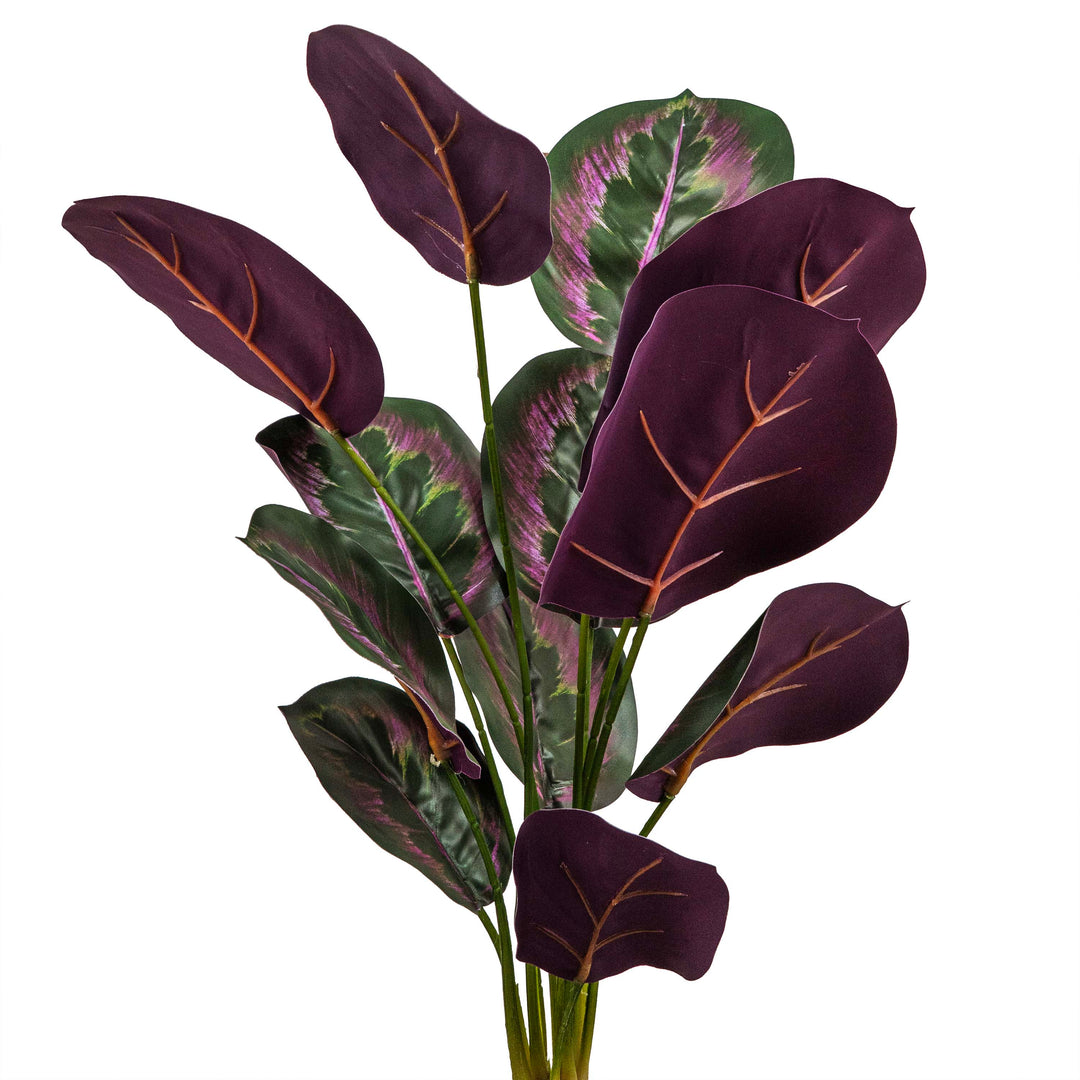 PINSTRIPE CALANTHEA FAUX PLANT