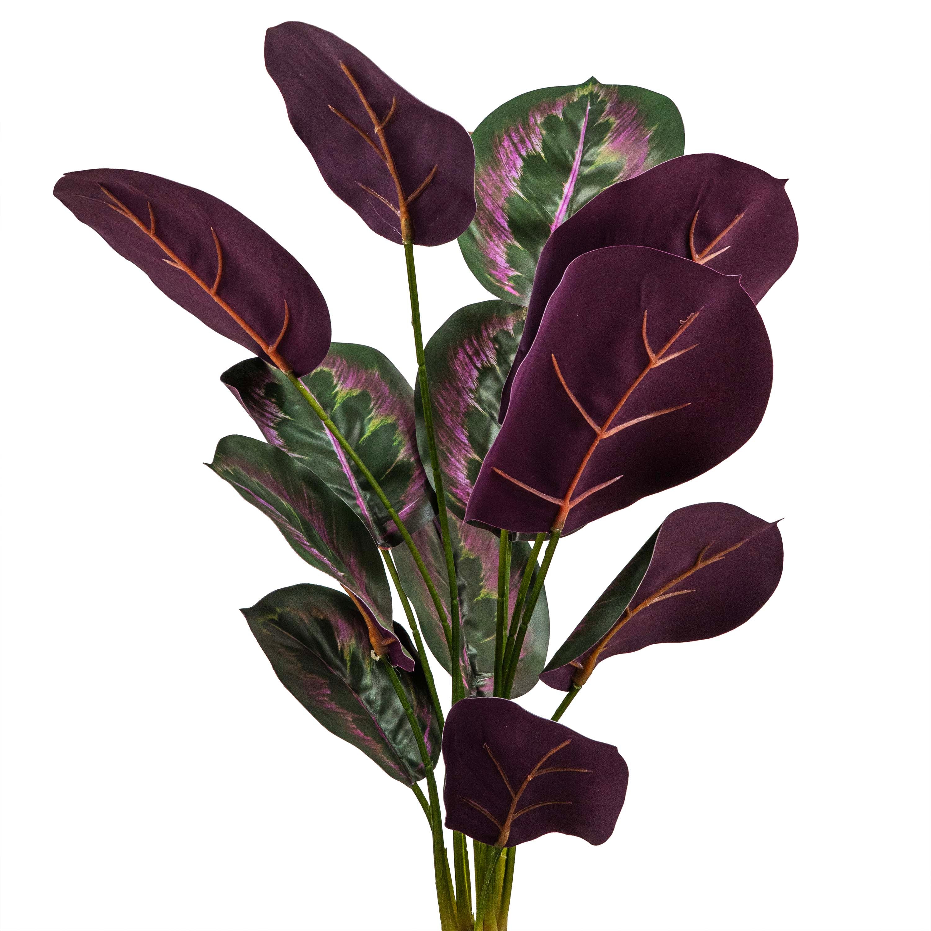PINSTRIPE CALANTHEA FAUX PLANT