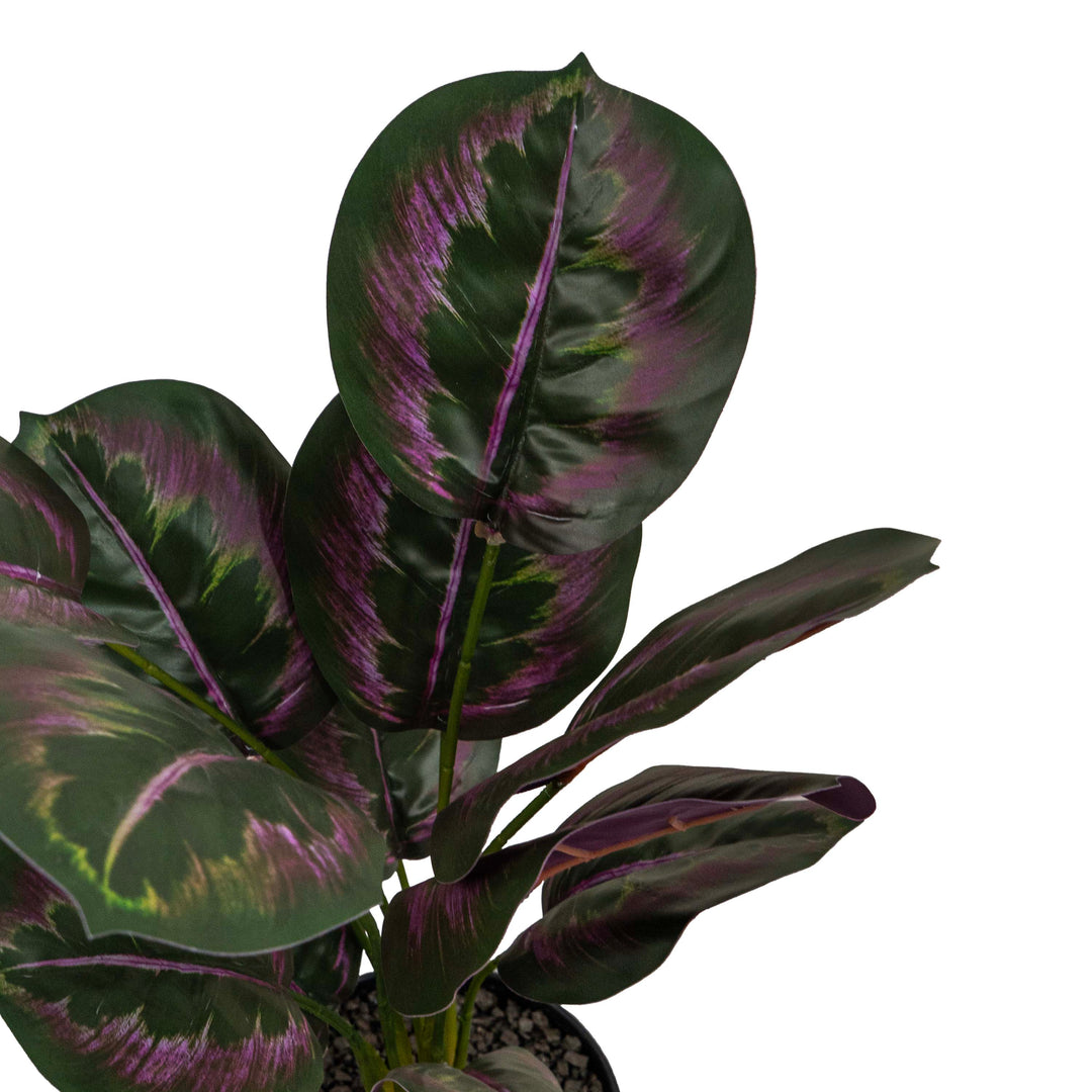 PINSTRIPE CALANTHEA FAUX PLANT