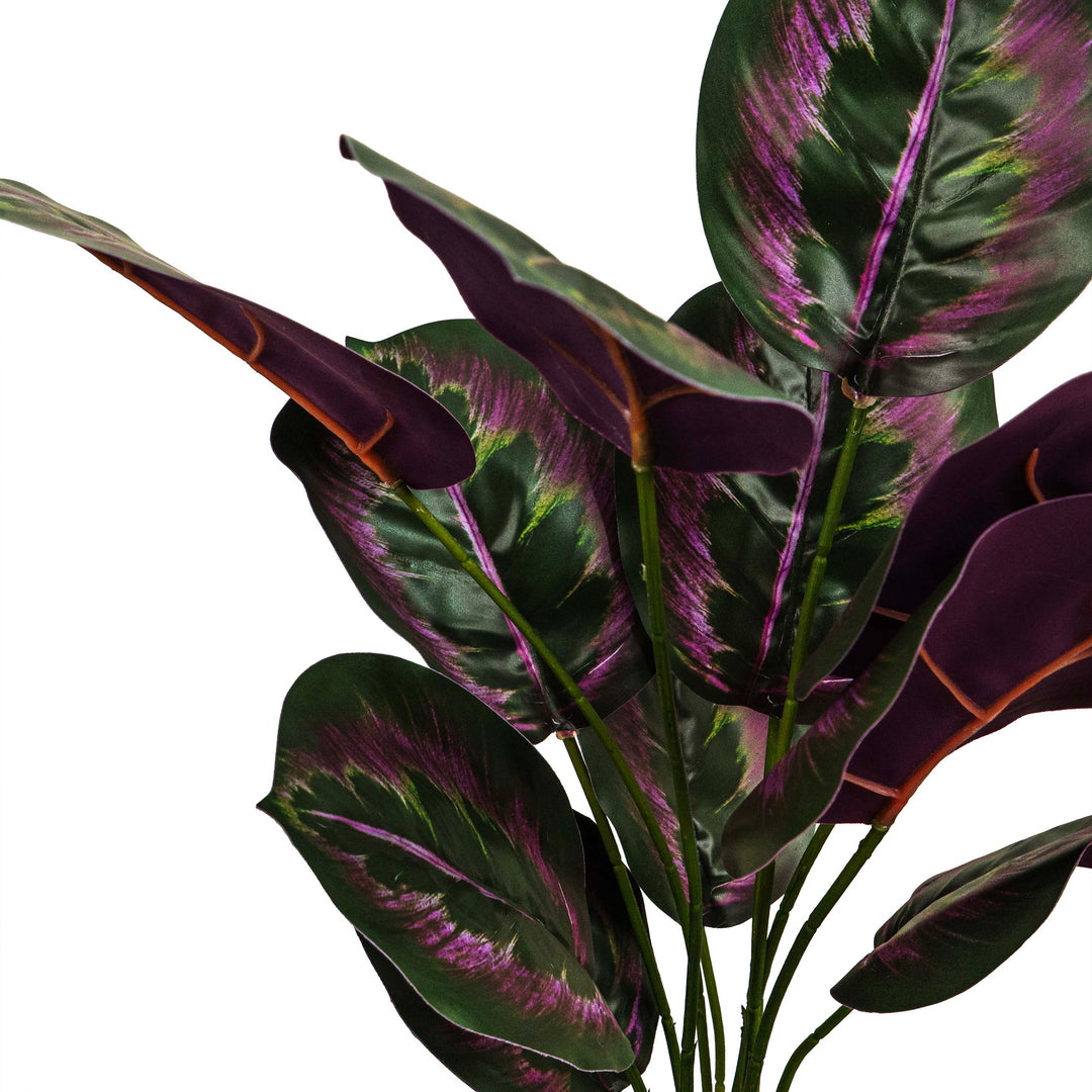 PINSTRIPE CALANTHEA FAUX PLANT