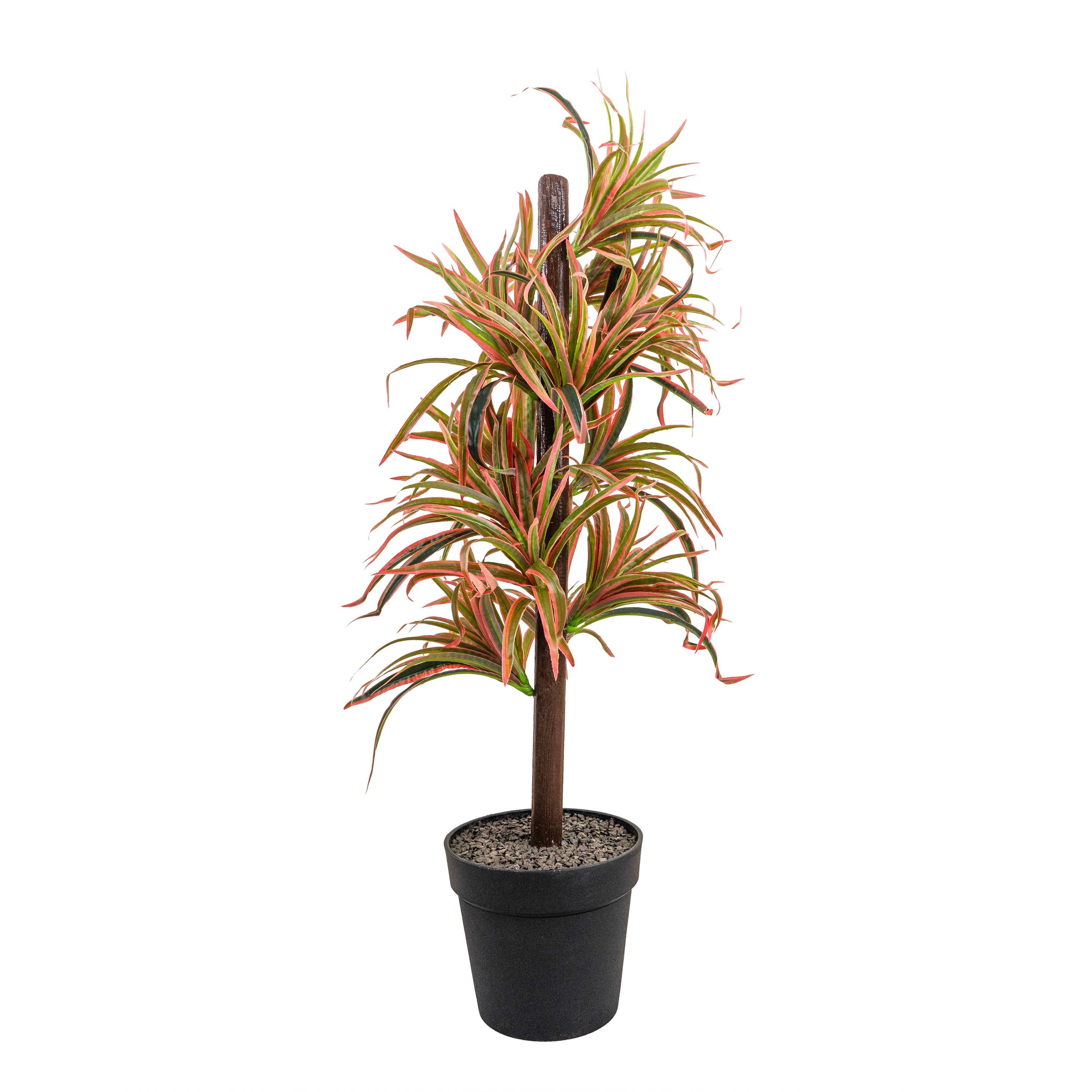 DRAGON TREE FAUX PLANT