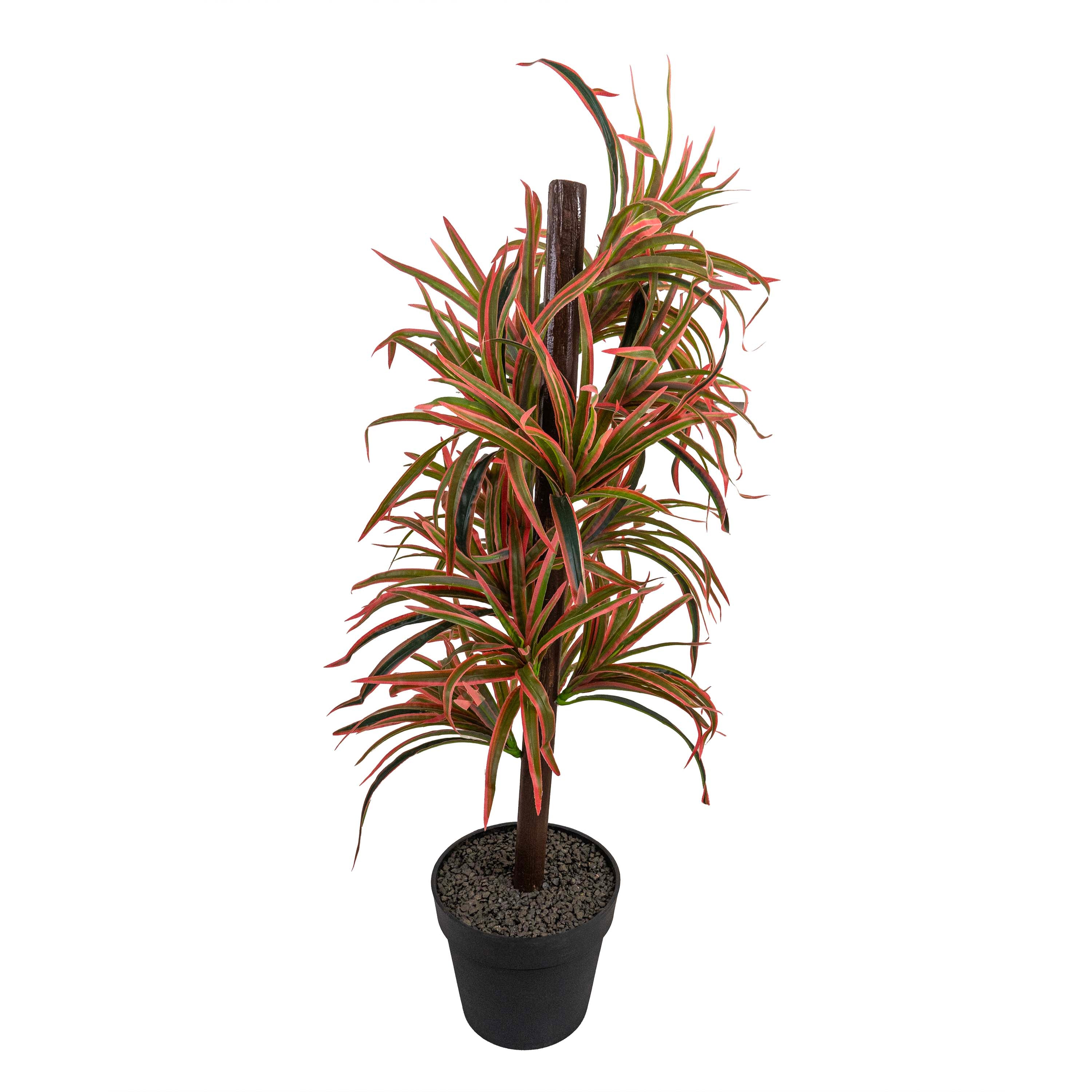 DRAGON TREE FAUX PLANT
