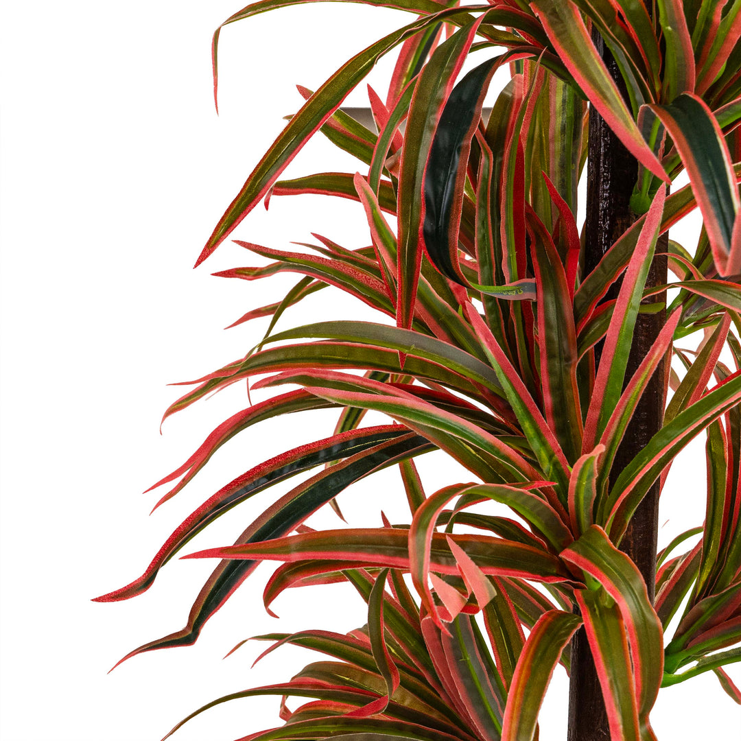 DRAGON TREE FAUX PLANT