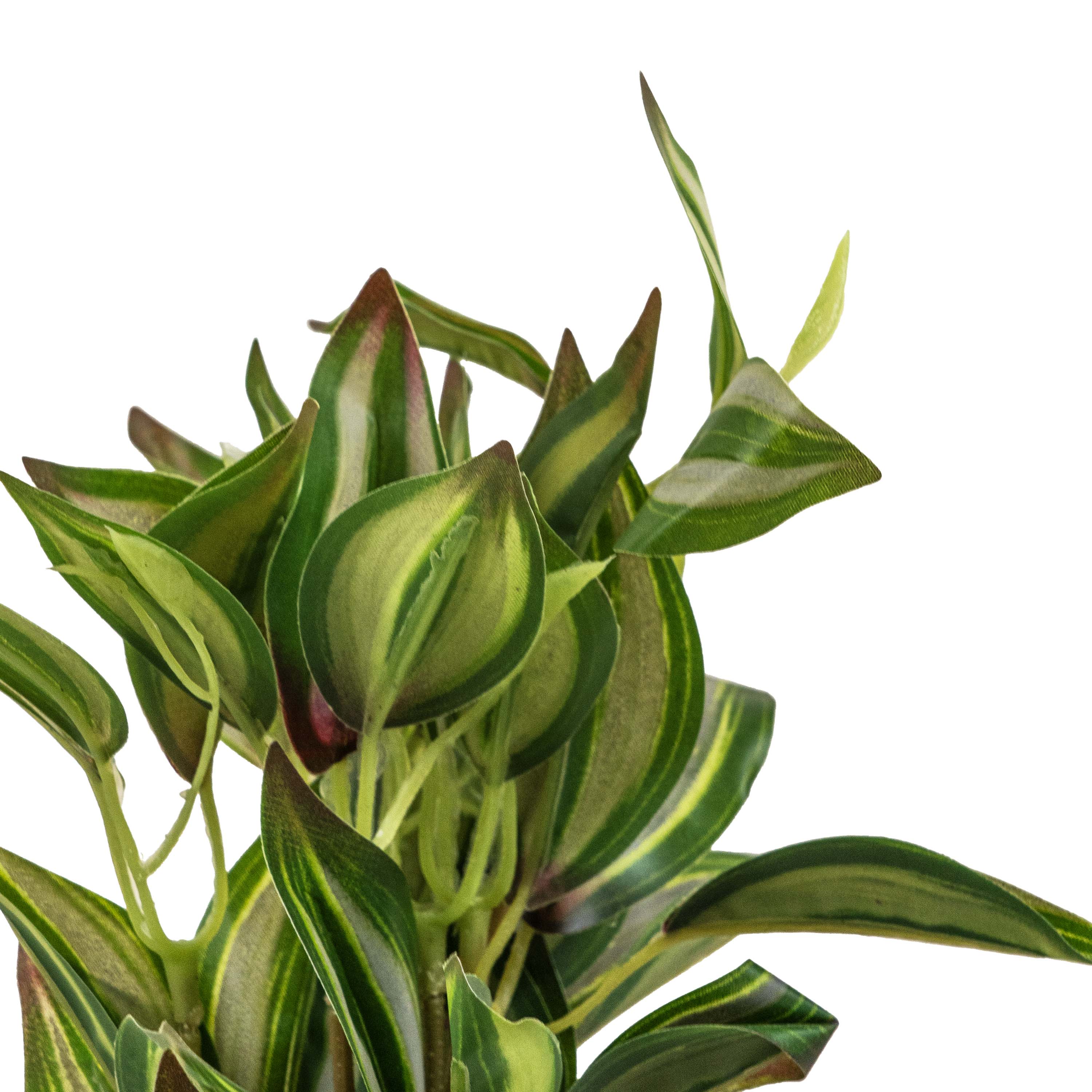 DROP TONGUE FAUX PLANT
