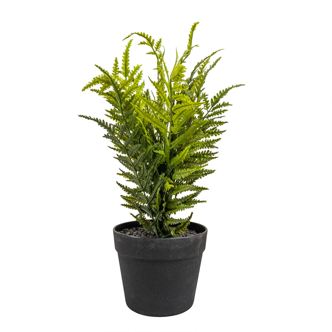 FERN FAUX PLANT