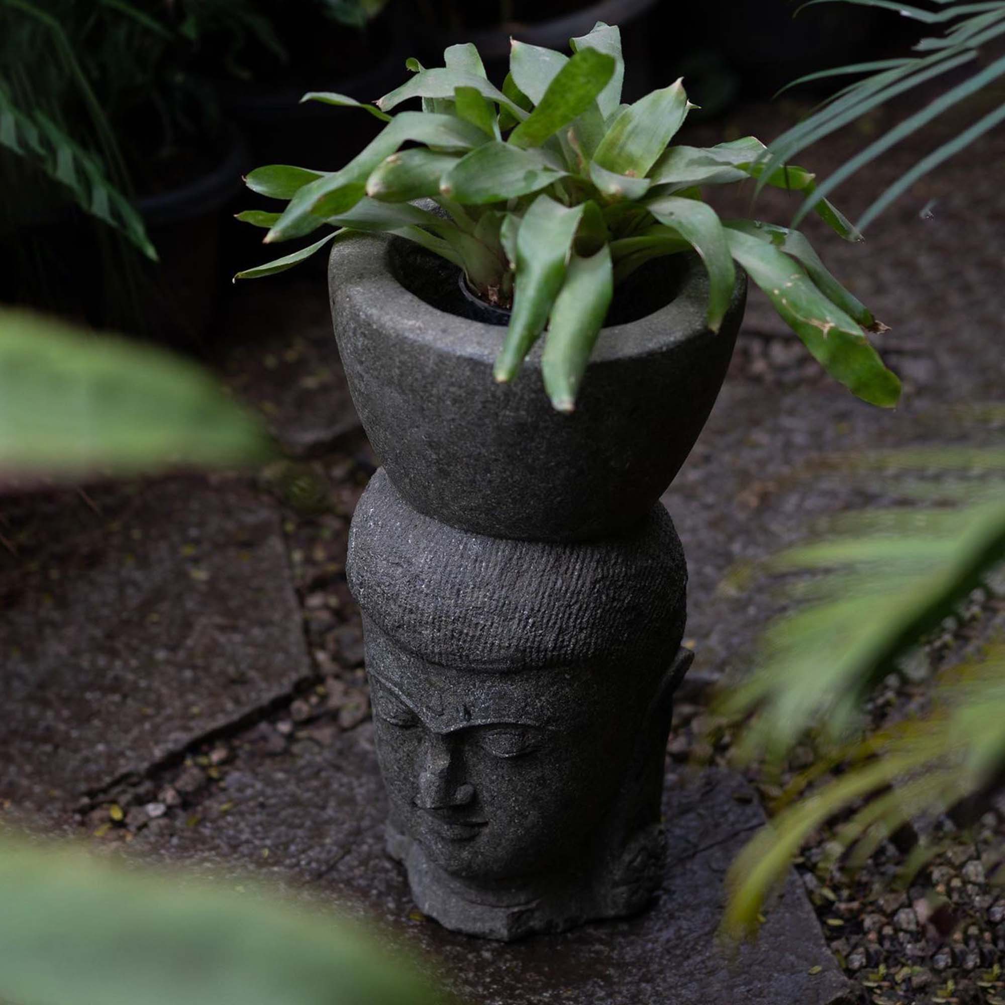 Ladyhead with Pot New