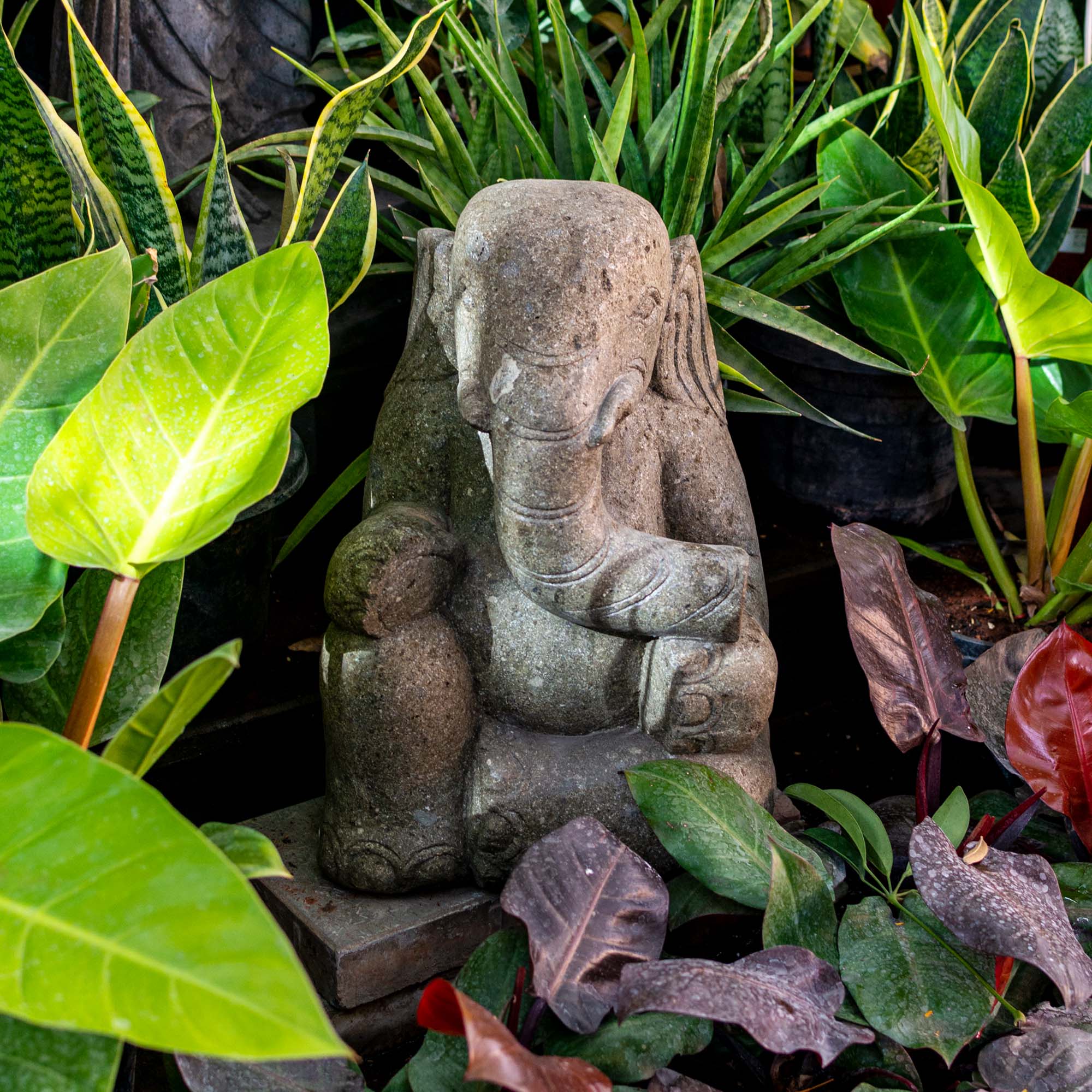 Amit Ganesha