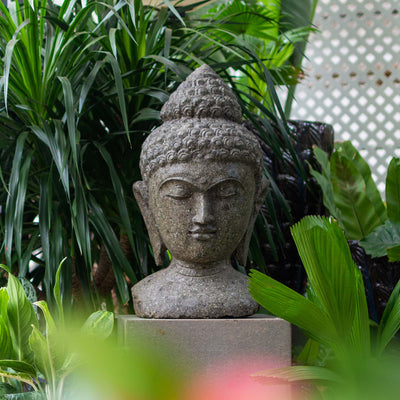 Buddha Head