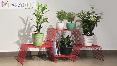 Large Grandis (Set of 3)