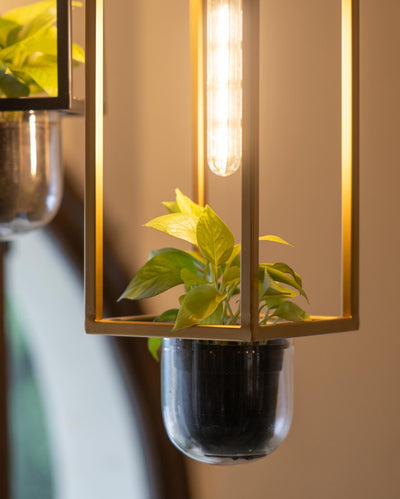 Rectangular Glass Pendent light with Jar Planter