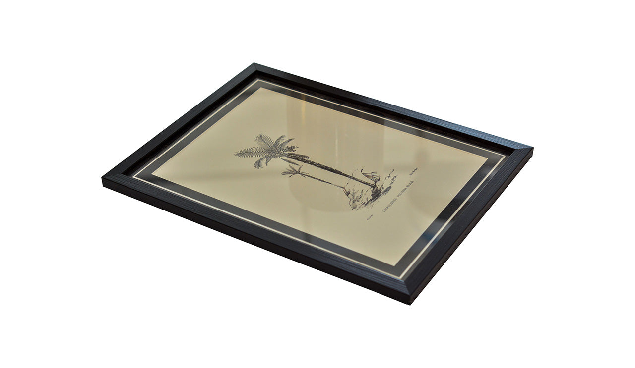 Tropical Print- Leopoldinia Pulchra Frame