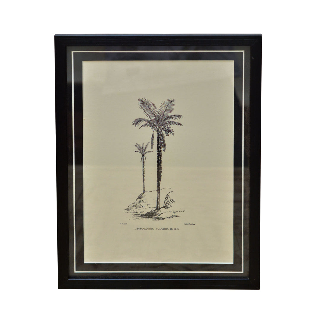 Tropical Print- Leopoldinia pulchra Frame