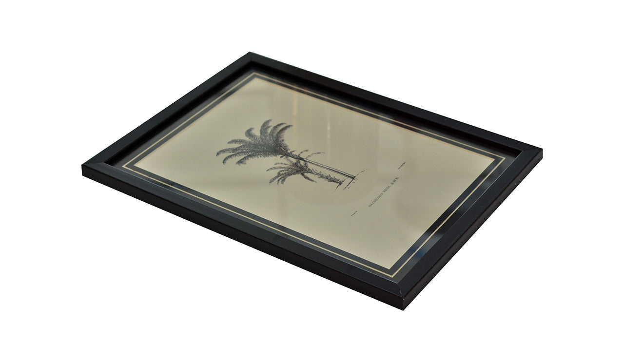 Tropical Print- Maximiliana Regia Frame