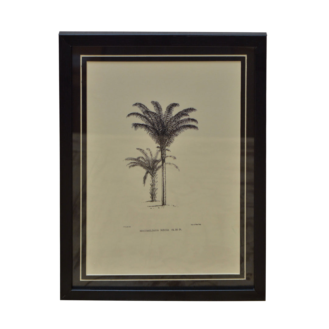 Tropical Print- Maximiliana Regia Frame