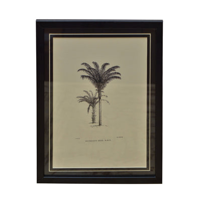 Tropical Print- Maximiliana Regia Frame