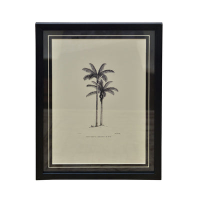 Tropical Print- Cenocarpus Baccaba Frame