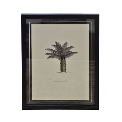 Tropical Print- Leopoldinia piassaba Frame