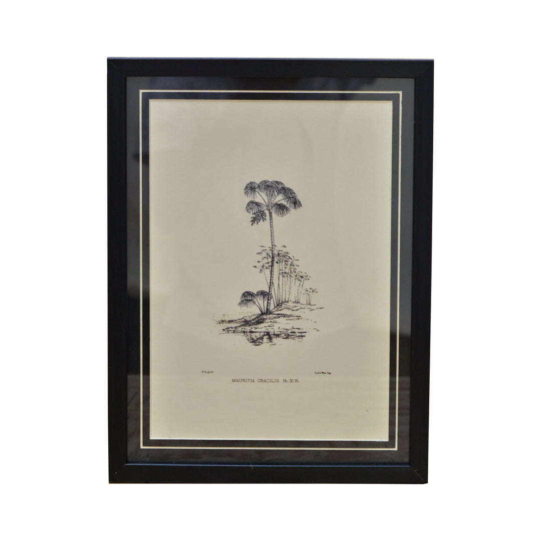 Tropical Print- Mauritia Gracilis Frame