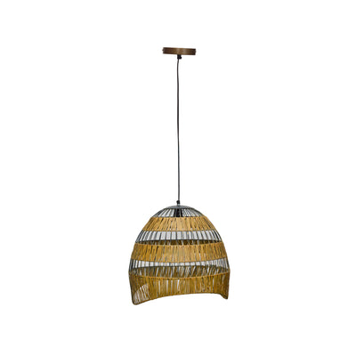 Parabola Pendant light