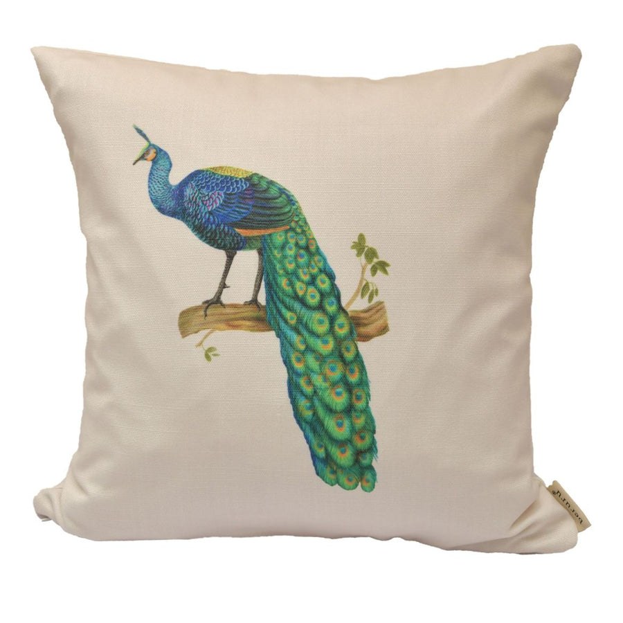 Indian Peafowl Cushion Cover