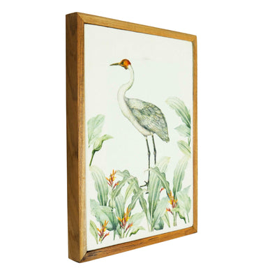 Birds of India Crane