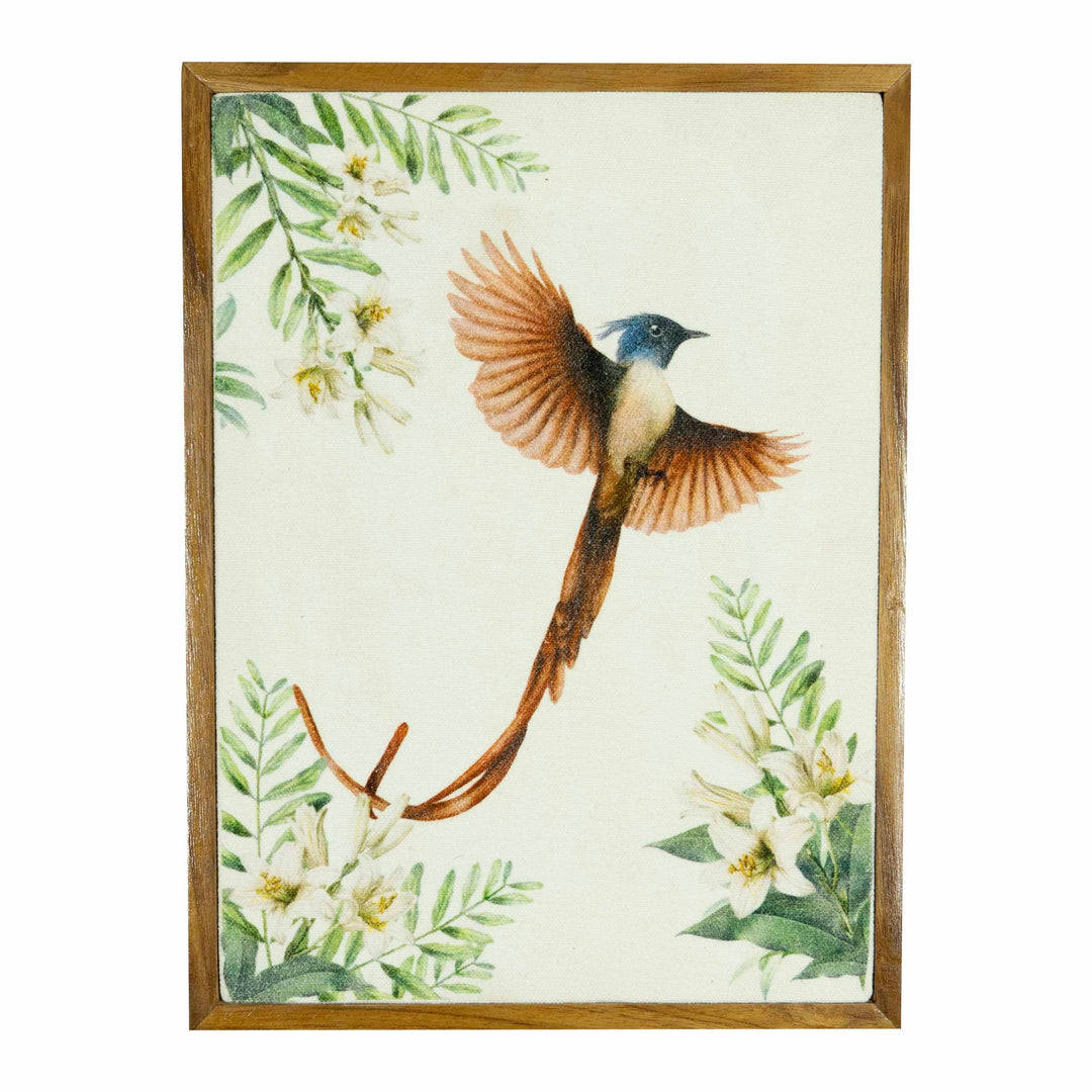 Birds of India Paradise Flycatcher