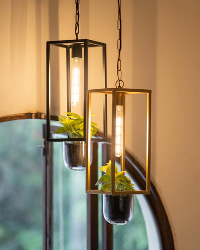Rectangular Glass Pendent light with Jar Planter