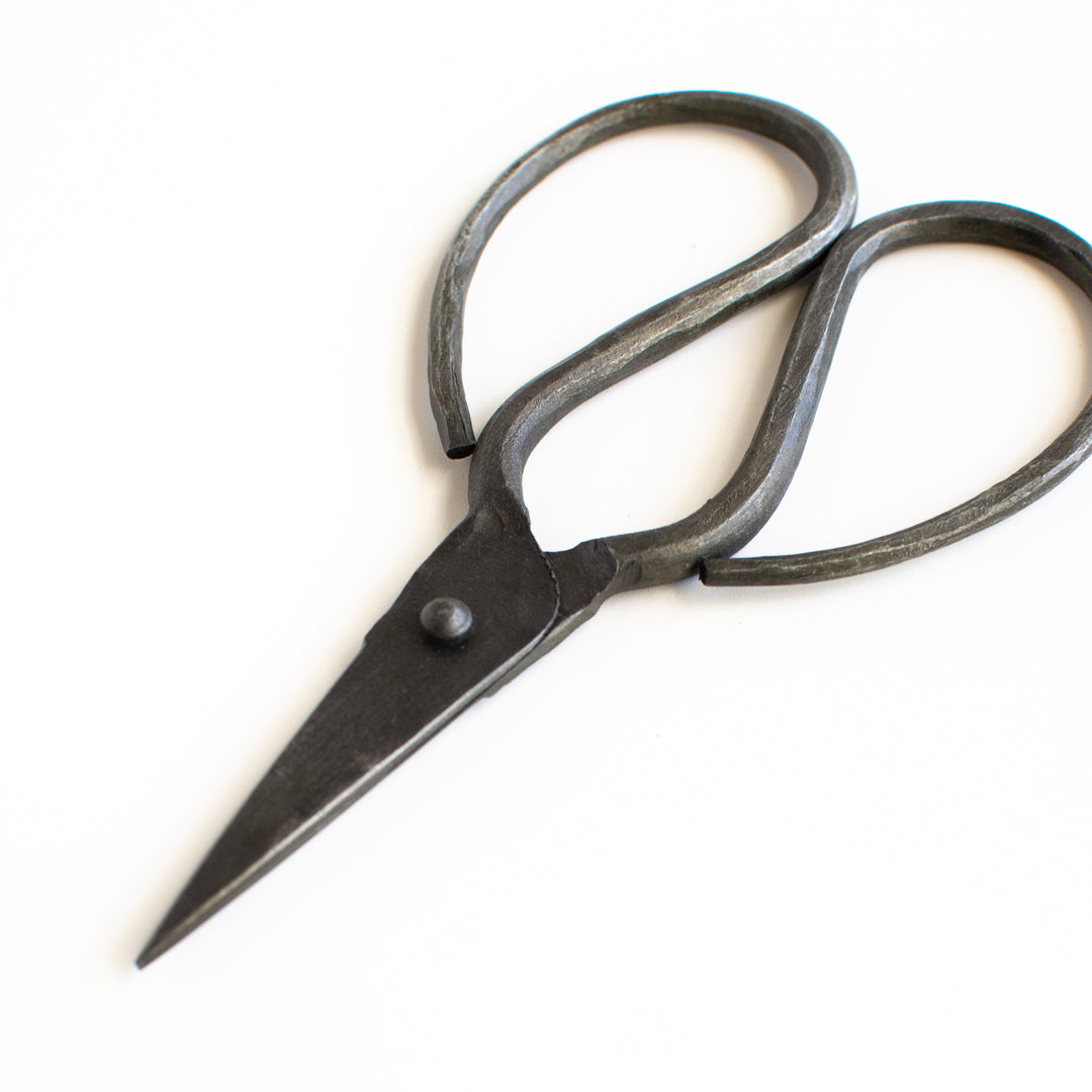 Barin scissor