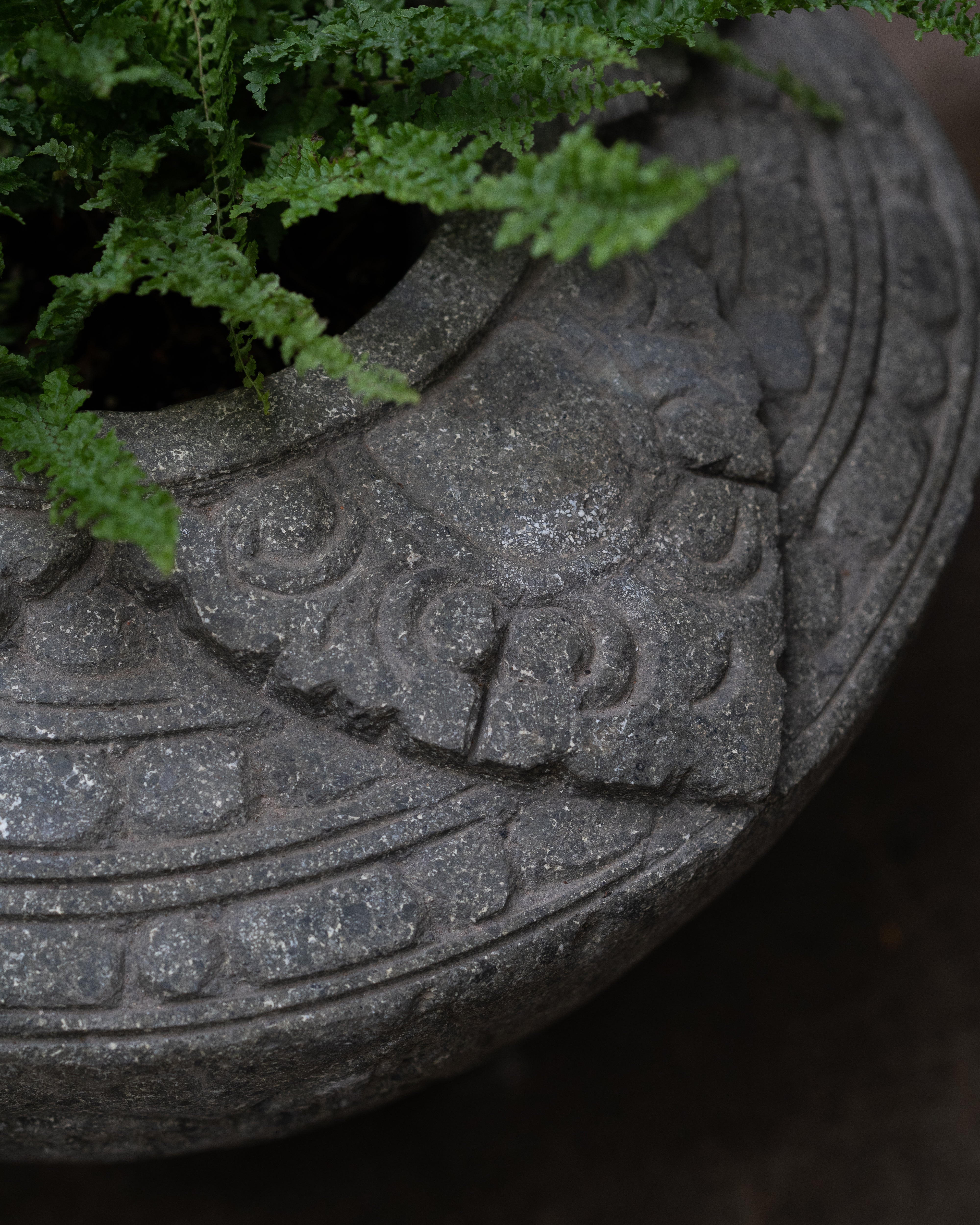 Paras Sculpted Low Wide Pot