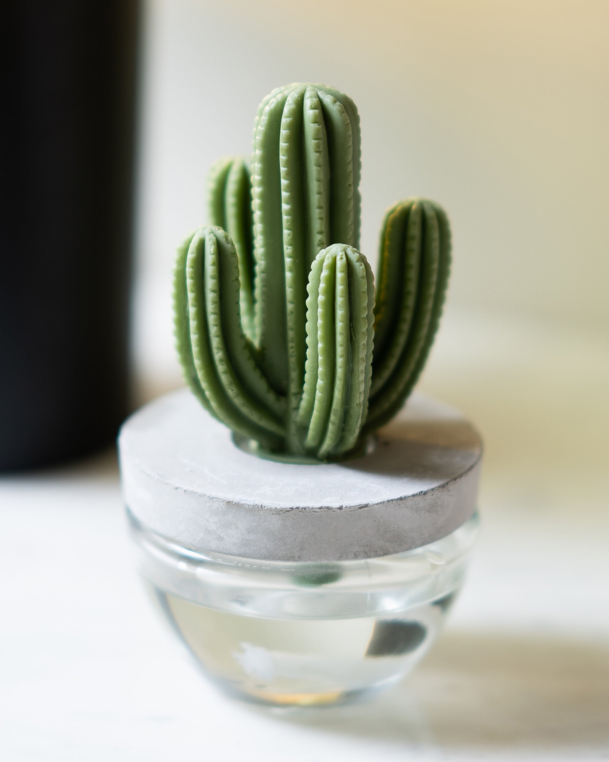 Cactus Diffuser Lavender - 100ml