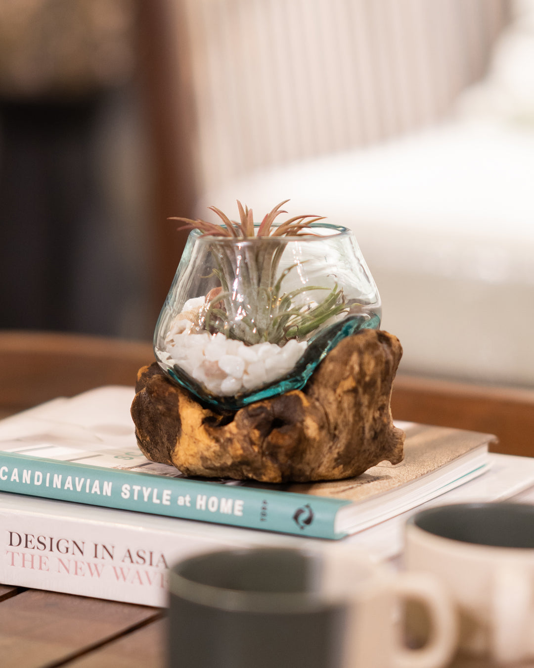 Round Glass Planter Bowl on Drift Wood