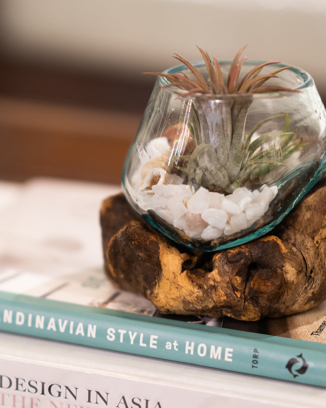 Round Glass Planter Bowl on Drift Wood