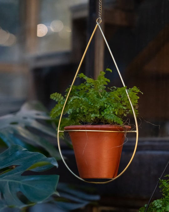Buy Planters Online India Beruru Tagged "hanging planters"