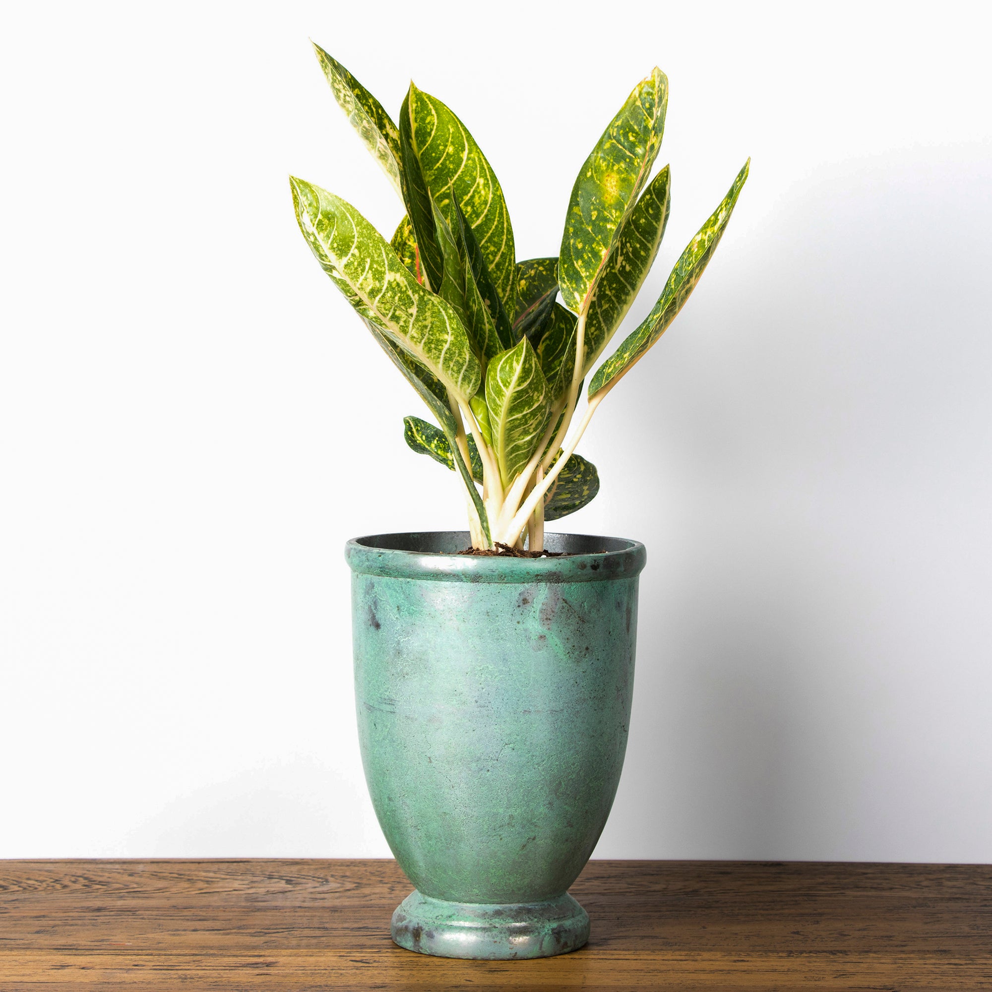 Blue verdi planter vase