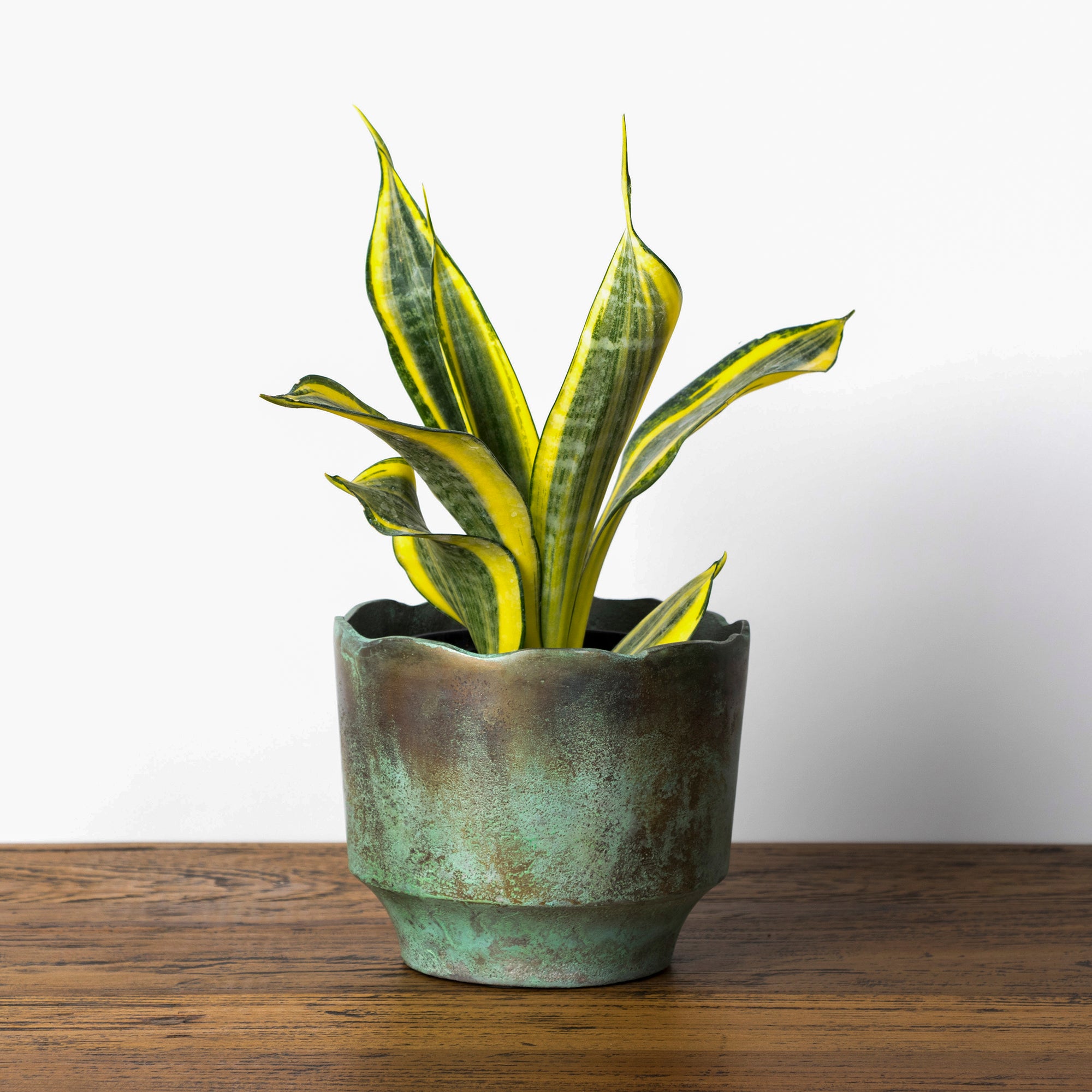 Verdi Green Planter