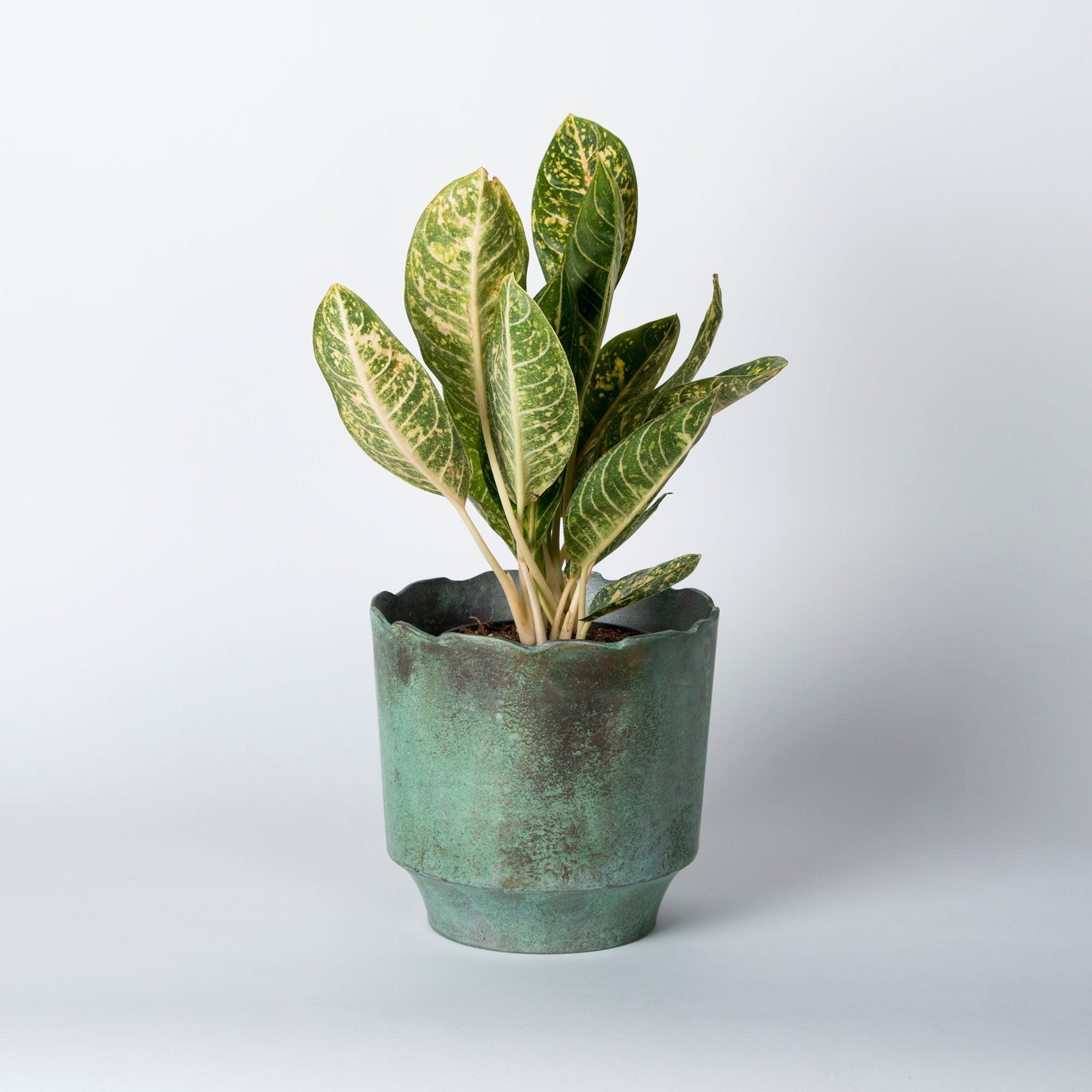 Verdi planter in green