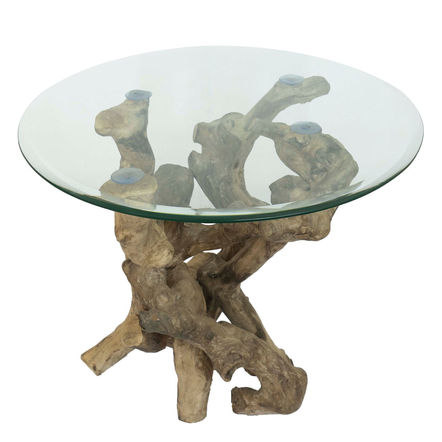 Coffee Stem Nature Table