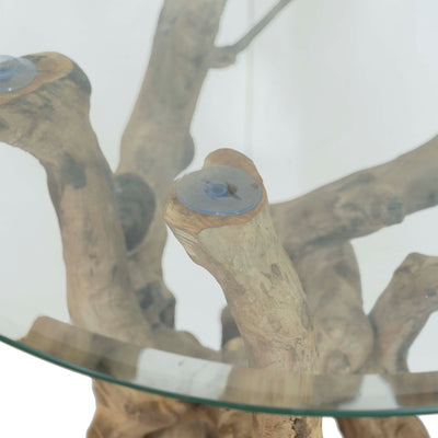 Coffee Stem Nature Table