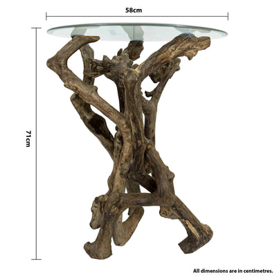 Coffee Stem Nature Table