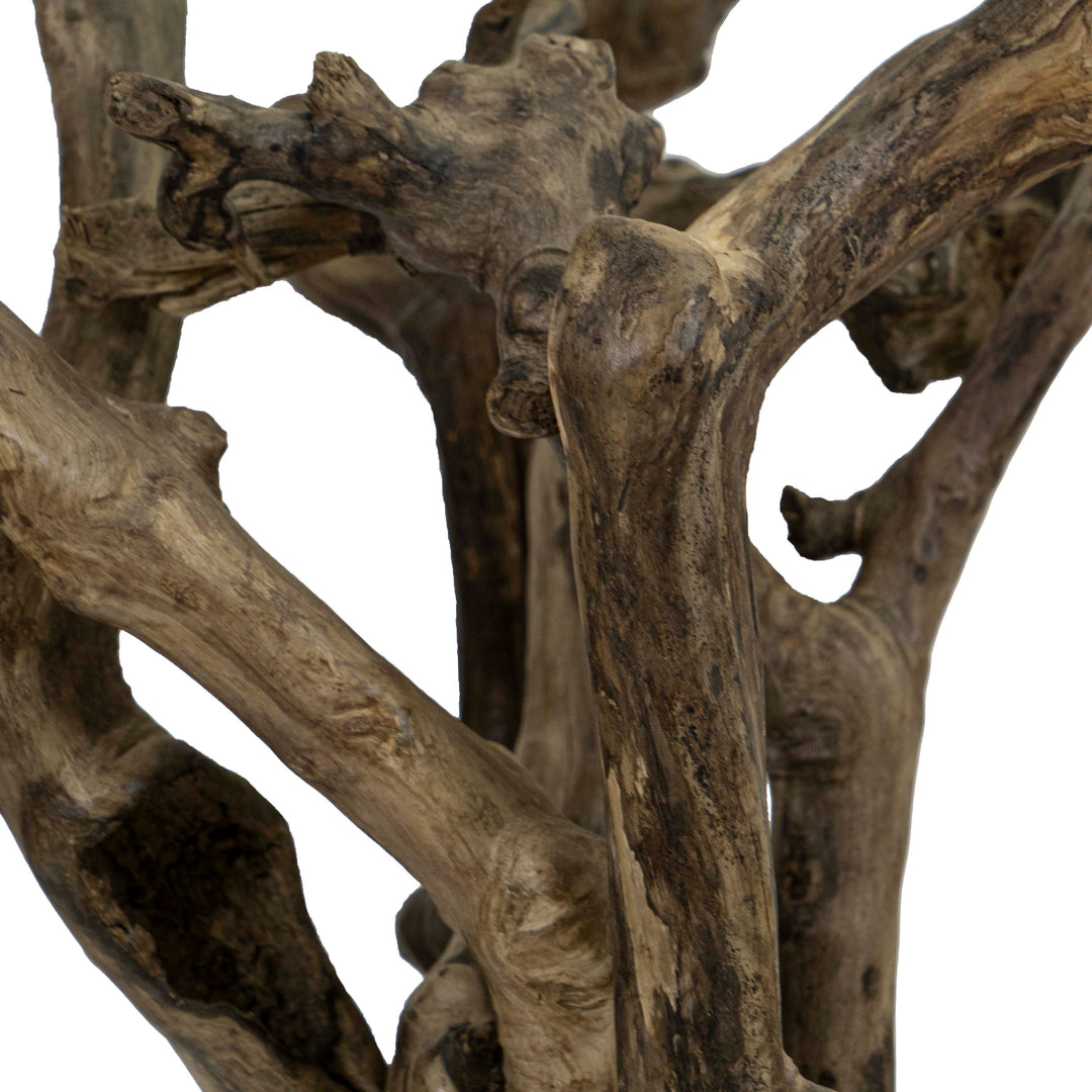 Coffee Stem Nature Table