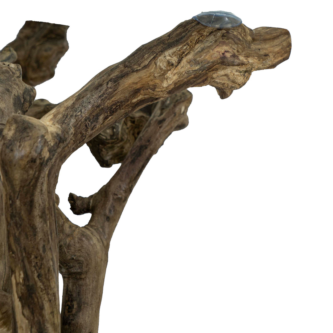 Coffee Stem Nature Table