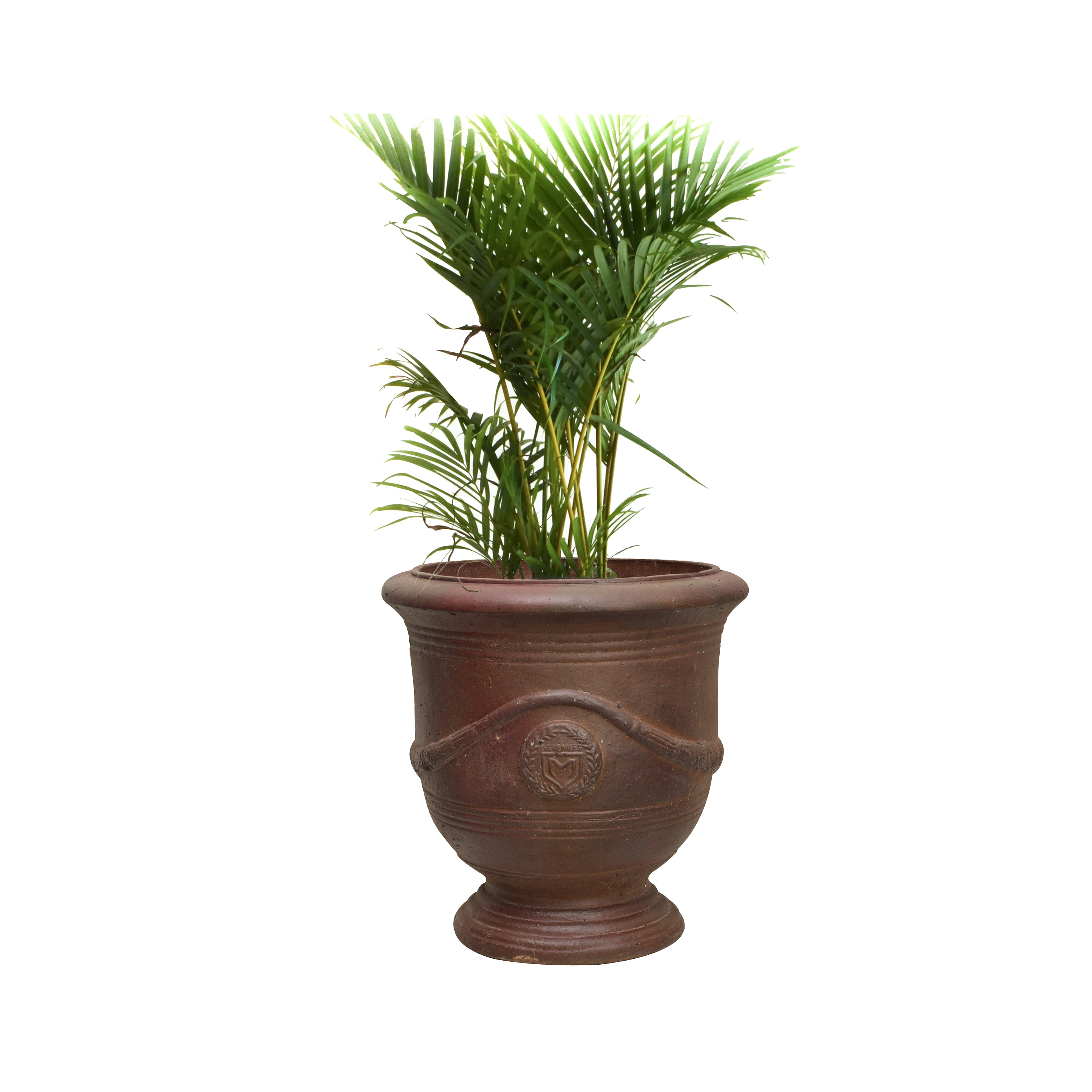 Brisa Ceramic Planter