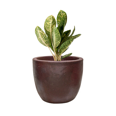 Helena Ceramic Planter