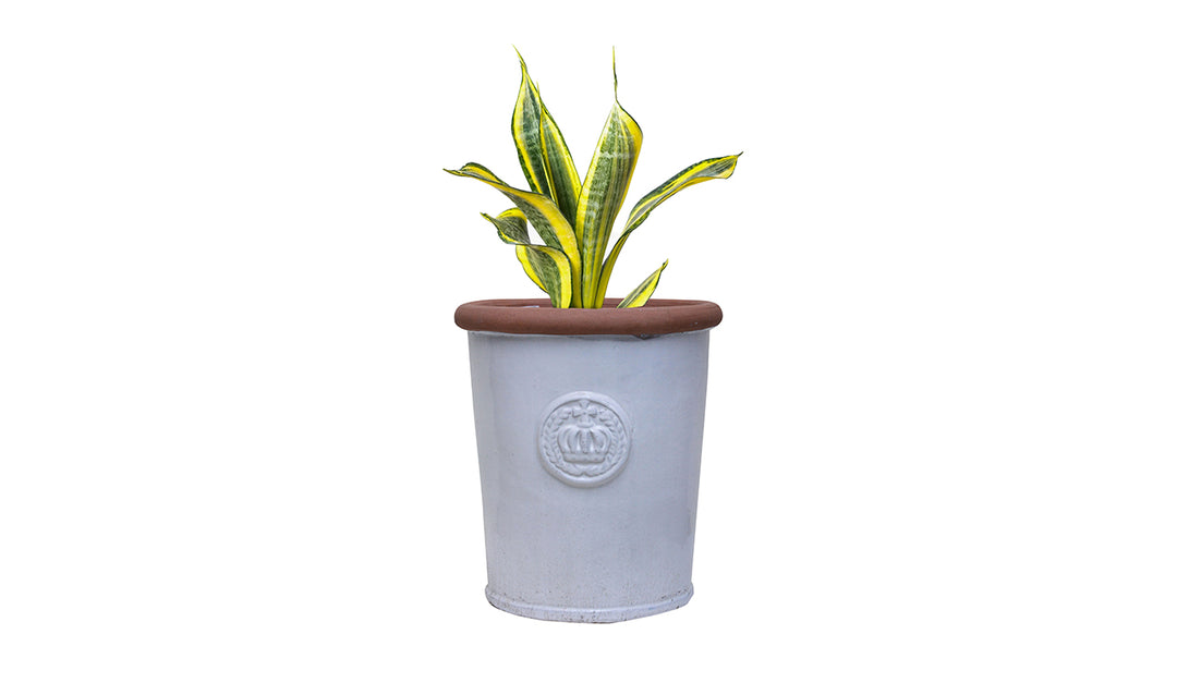 Monique Ceramic Planter