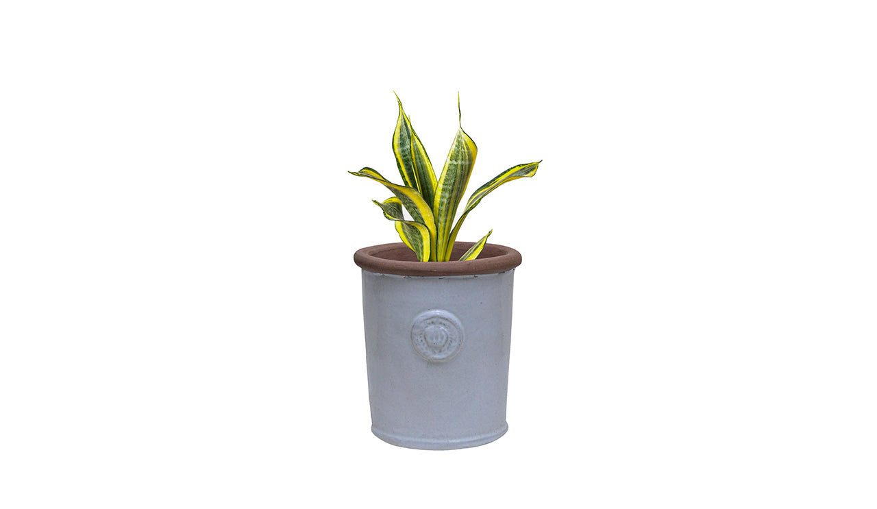 Aretha Ceramic Planter